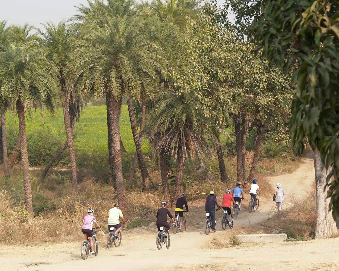 Shahpura Bagh Ξενοδοχείο Εξωτερικό φωτογραφία